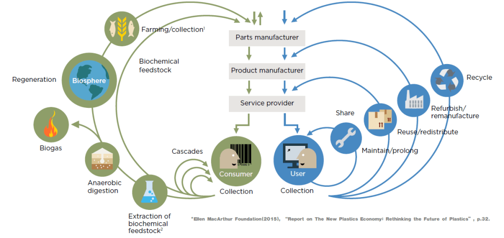바다의 절망을 소재의 혁신으로: 노보루프(Novoloop)가 여는 플라스틱 순환경제 _ 2