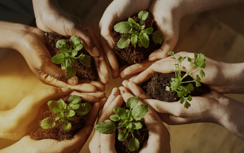 다양한 인종의 사람들이 손을 모아 원형을 만들고, 각자의 손바닥에 흙이 담긴 어린 초록색 새싹을 소중하게 받쳐 들고 있는 전경. 글로벌 지속가능성 공시기준의 통합과 이해관계자 간의 협력, 그리고 재무 정보와 비재무 정보의 연결성을 상징하는 이미지.