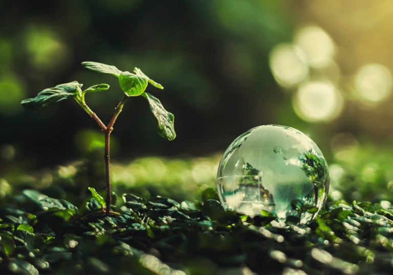 초록빛 이끼와 풀밭 위에 작은 식물 새싹이 돋아나 있고, 그 옆에 투명한 유리 지구본이 놓여 있는 모습. 자연과 인류의 공존 및 지속가능한 발전을 상징하는 감성적인 사진.