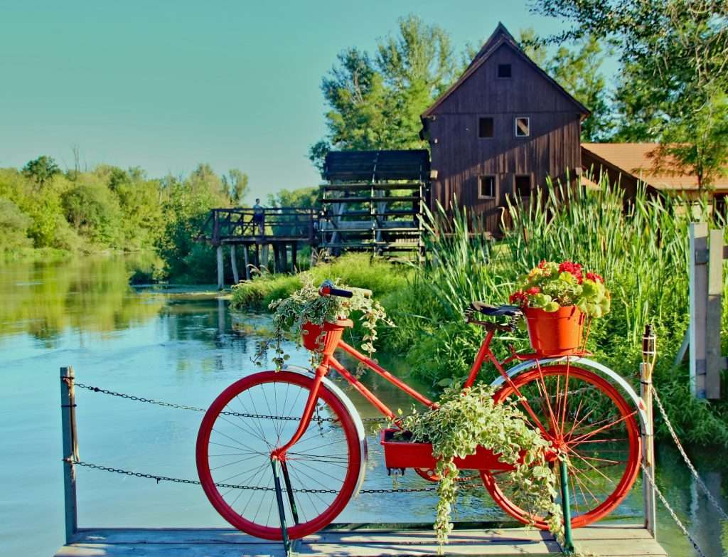 한국형 녹색분류체계(K-Taxonomy) 가이드라인과 환경경영의 실무적 적용 _