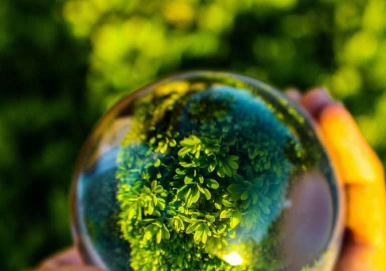 흐릿한 녹색 숲을 배경으로 사람의 손 위에 놓인 투명한 유리 구슬(수정구). 구슬 안에는 선명하게 초록색 식물의 잎들이 비치고 있으며, 이는 금융과 보험을 통해 기후 자산을 투명하게 관리하고 보호하는 녹색금융의 비전을 상징함.